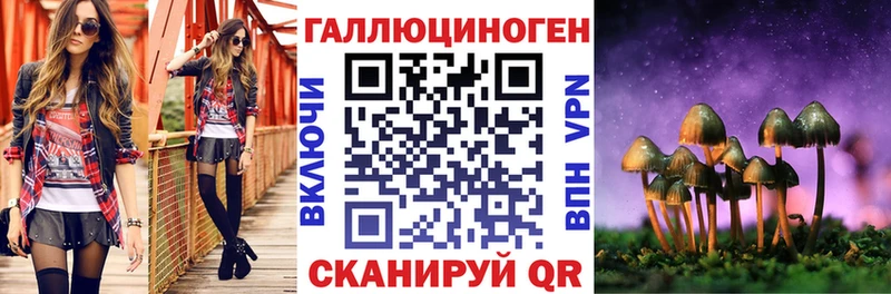 Псилоцибиновые грибы GOLDEN TEACHER  blacksprut вход  Тогучин  купить наркотики цена 